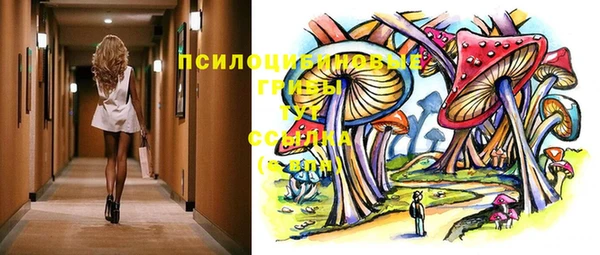 ГАЛЛЮЦИНОГЕННЫЕ ГРИБЫ Нефтекумск