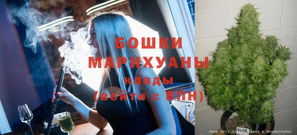 крисы Нея