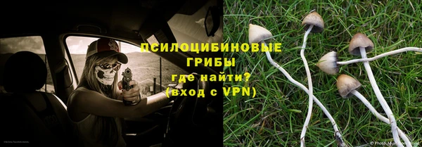 ГАЛЛЮЦИНОГЕННЫЕ ГРИБЫ Нефтекумск