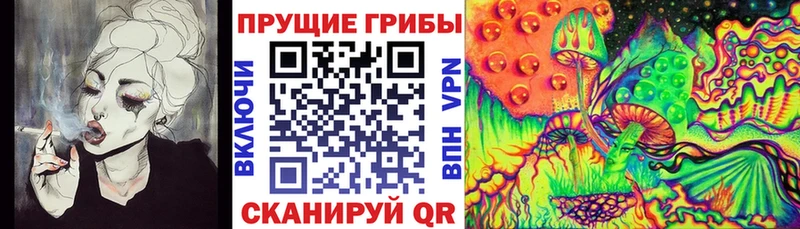 купить закладку  Чишмы  Псилоцибиновые грибы Cubensis 